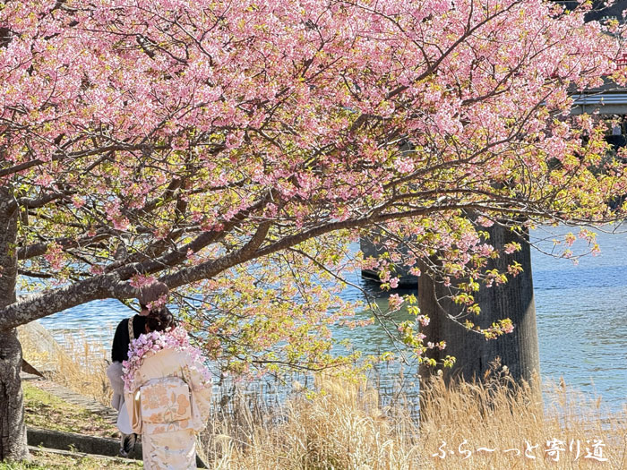 つぶやきへジャンプ♪