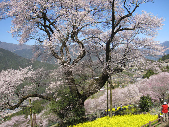 つぶやきへジャンプ♪